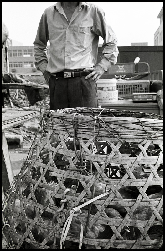 ©copyright Marco Giardini